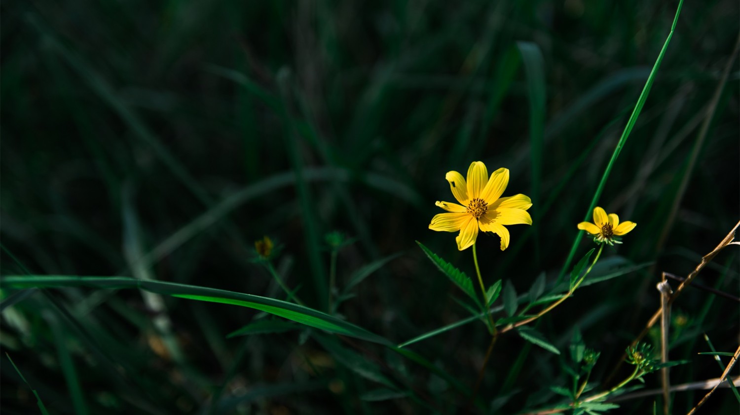 搭建个人防盗链图床