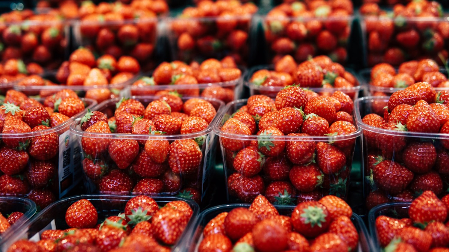 写了两个随机小姐姐视频的Api代码