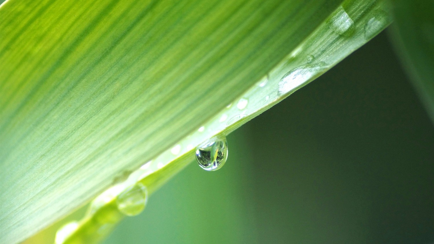 Windows Server 2022自动登录设置