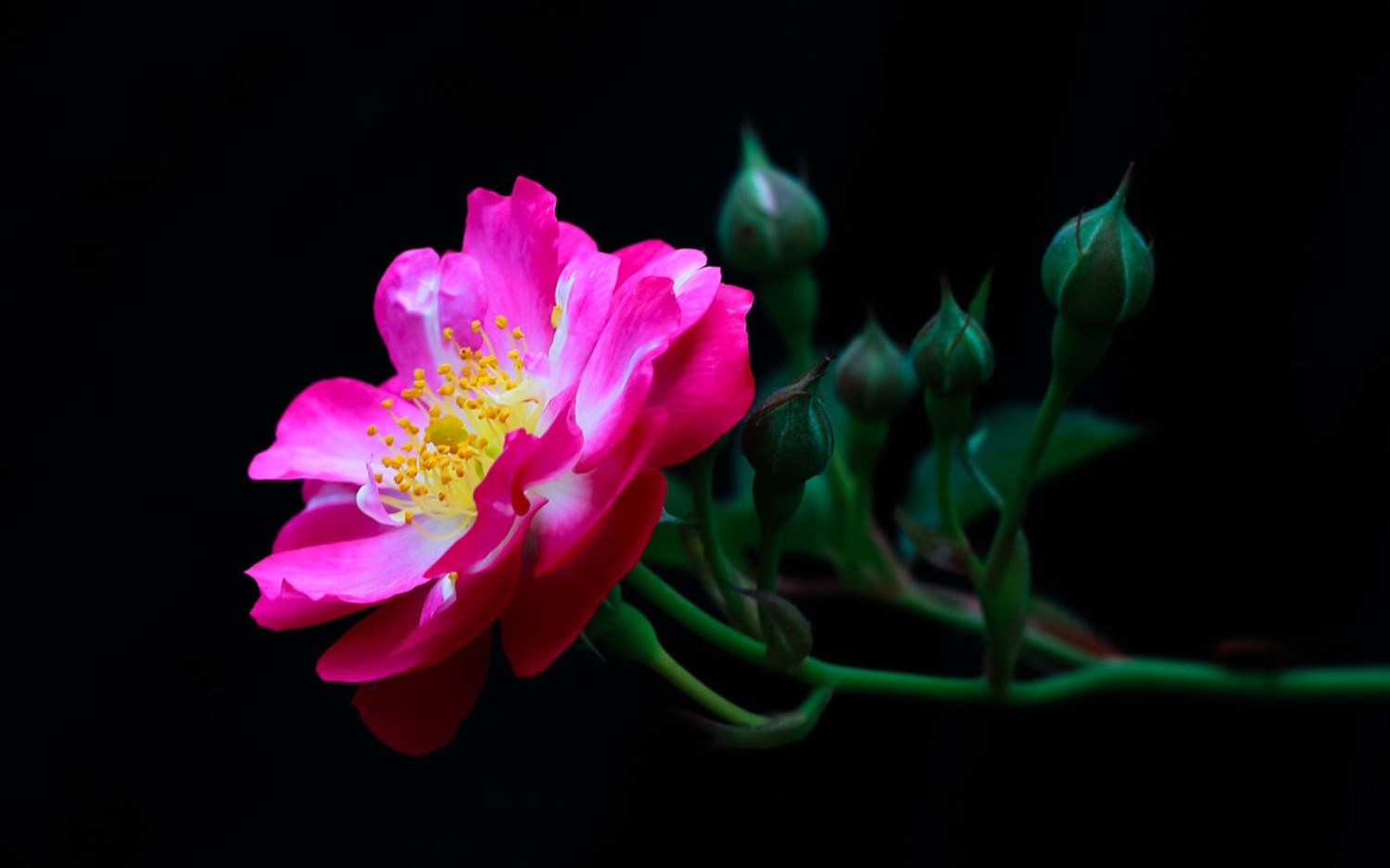 server 2012 2019 2022 没有预览图片