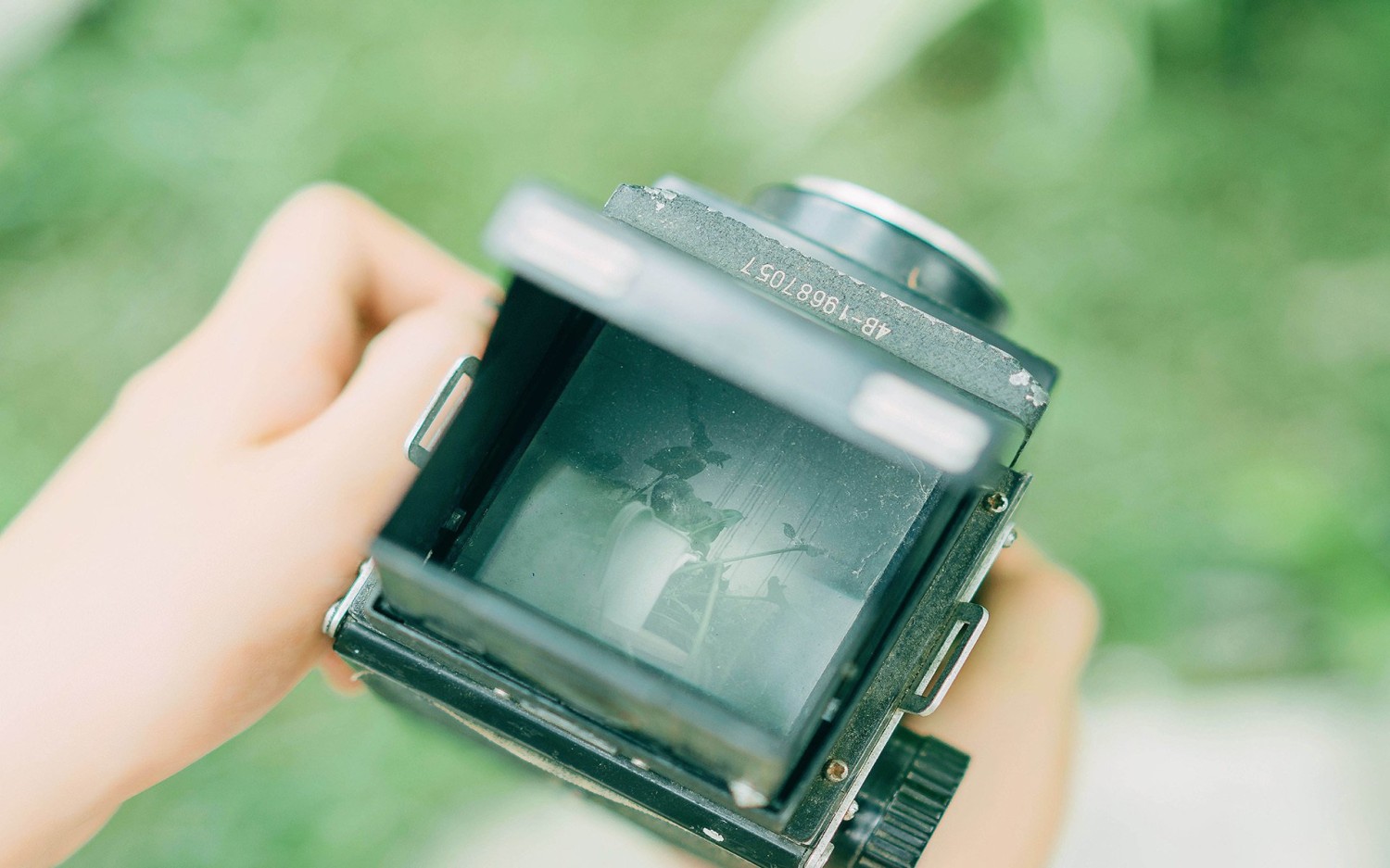 server 2012 2019 2022 没有预览图片