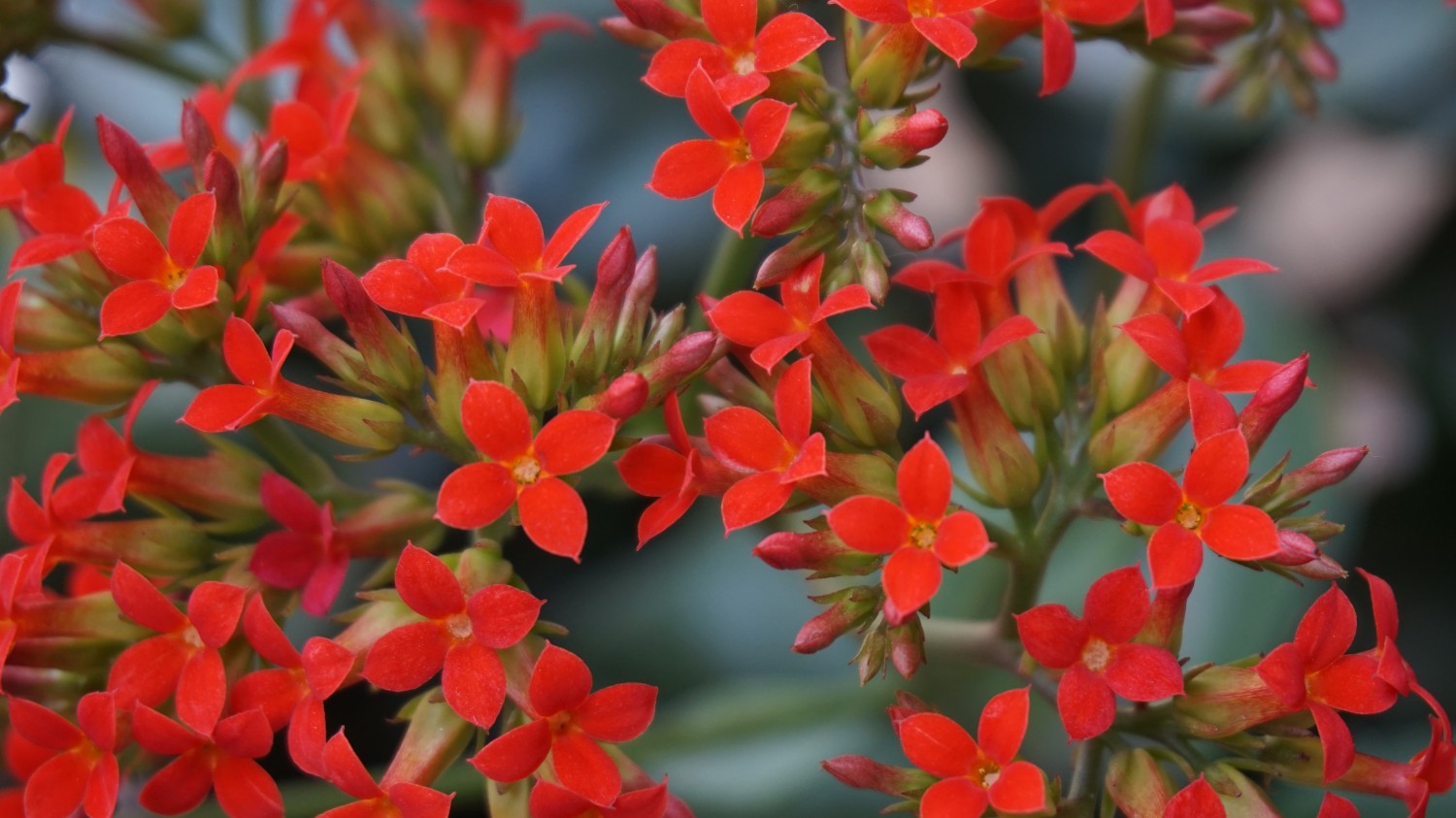 开源简易站点统计2.0