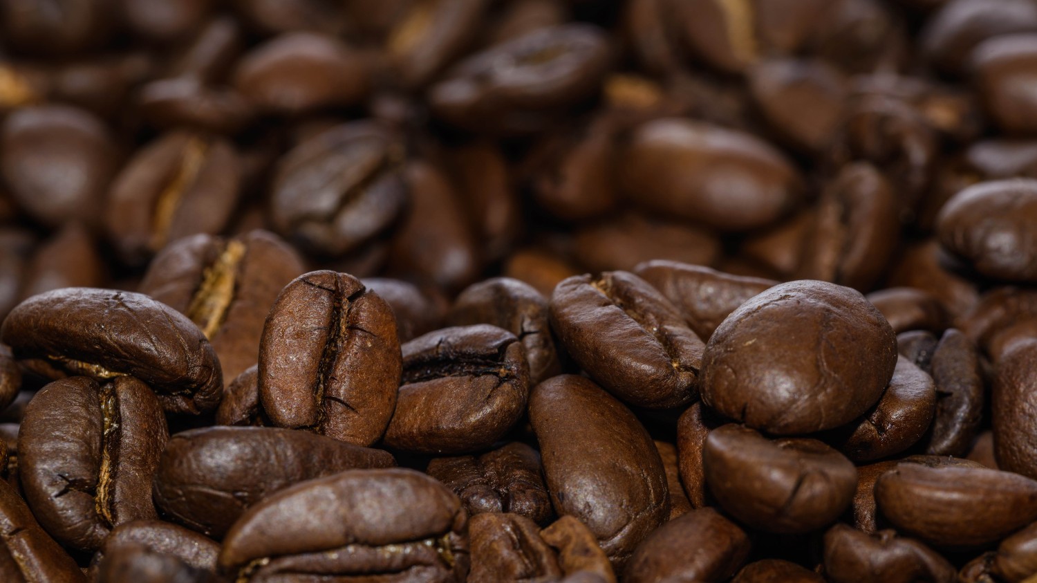 写了两个随机小姐姐视频的Api代码